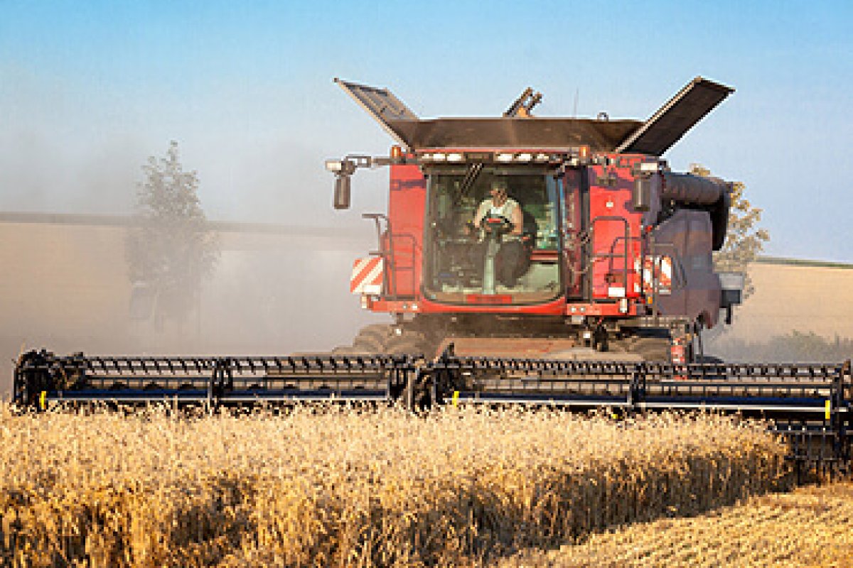 Фондовый рынок