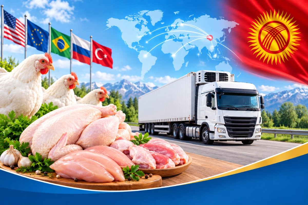 Бөлүнгөн квоталардын алкагында жеткирүүчү өлкөлөрдөн канаттуулардын этин импорттоо боюнча биргелешкен ишмердүүлүк үчүн өнөктөштөрдү тандоо конкурсу